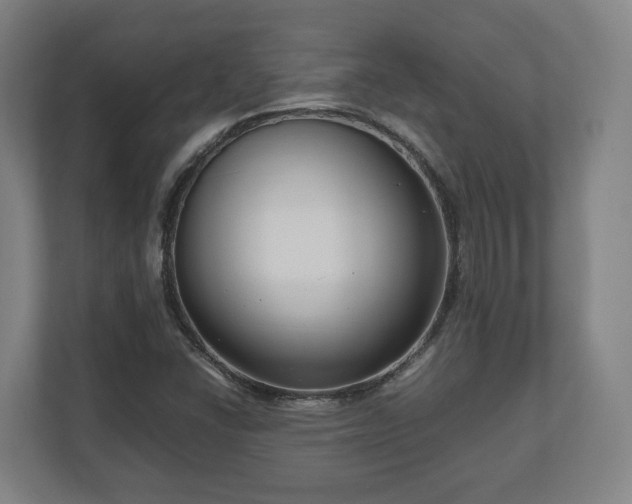 X0000111121406200907070948