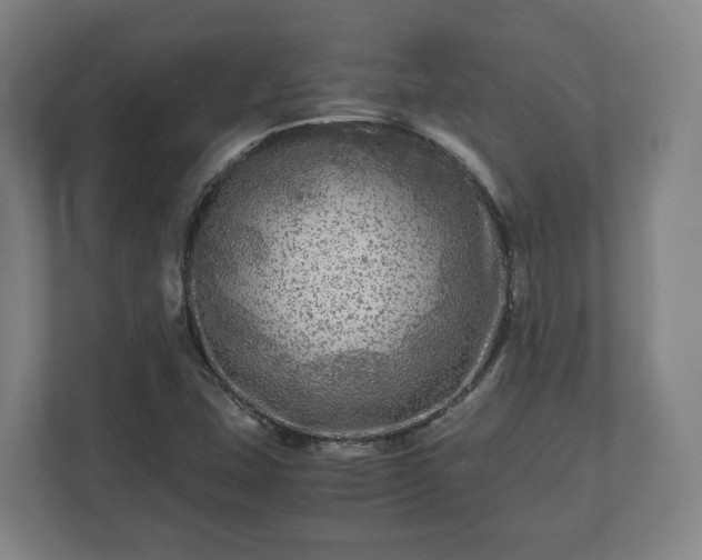 X0000111121407200907070948