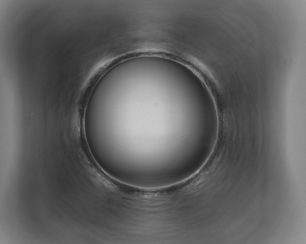 X0000111121408200907070948