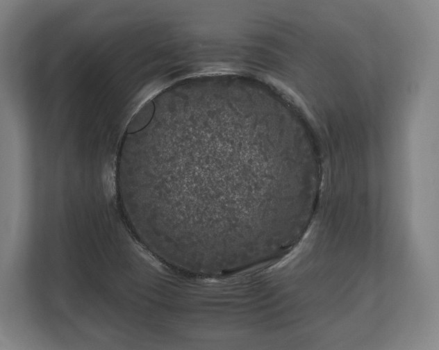 X0000111121409200907070948