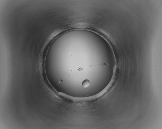 X0000111121410200907070948