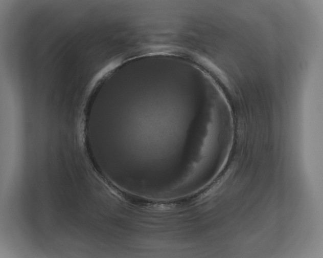 X0000111121411200907070948