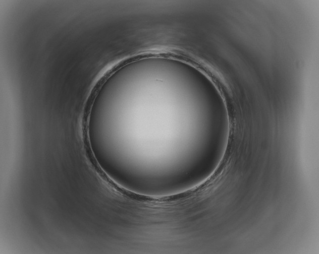 X0000111121412200907070948