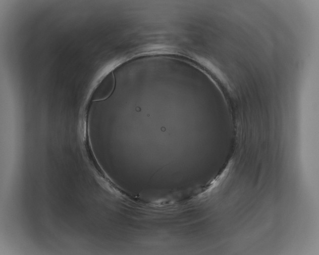 X0000111121413200907070948