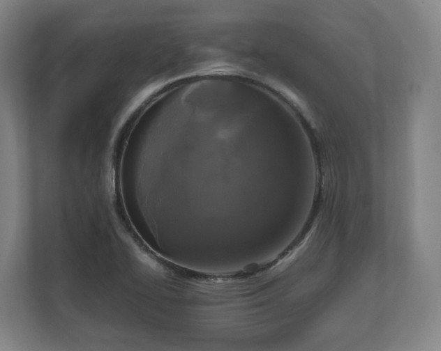 X0000111121414200907070948