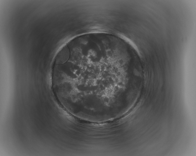 X0000111121415200907070948