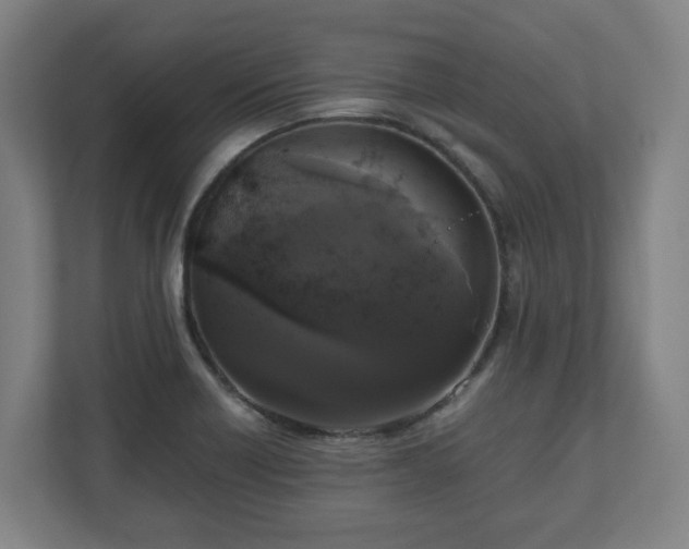 X0000111121418200907070948