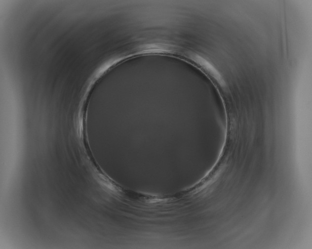 X0000111121419200907070948