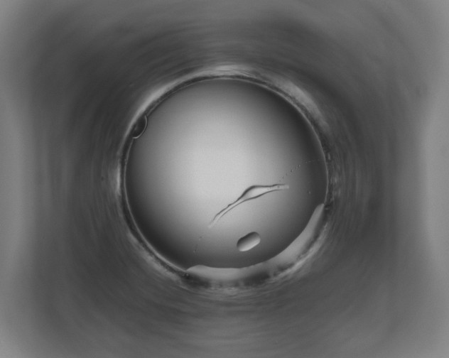 X0000111121420200907070948