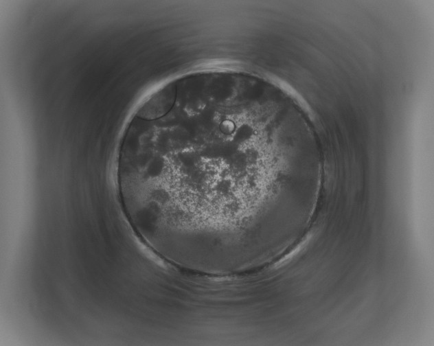 X0000111121421200907070948