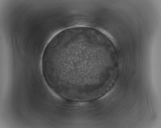 X0000111121423200907070948