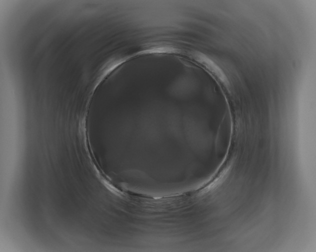 X0000111121425200907070948