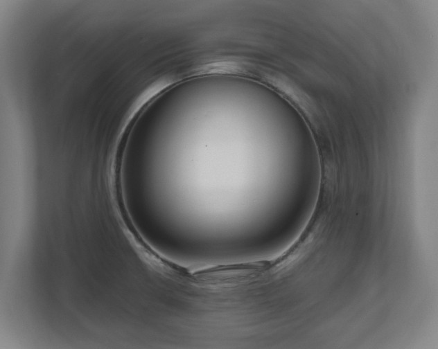 X0000111121426200907070948