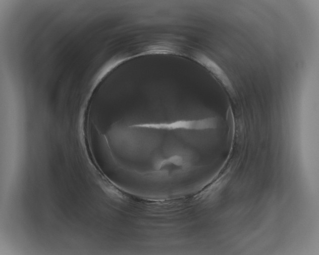 X0000111121427200907070948