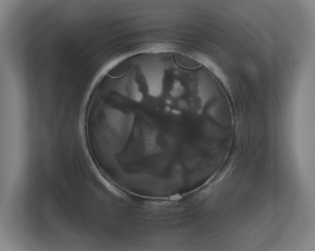 X0000111121429200907070948