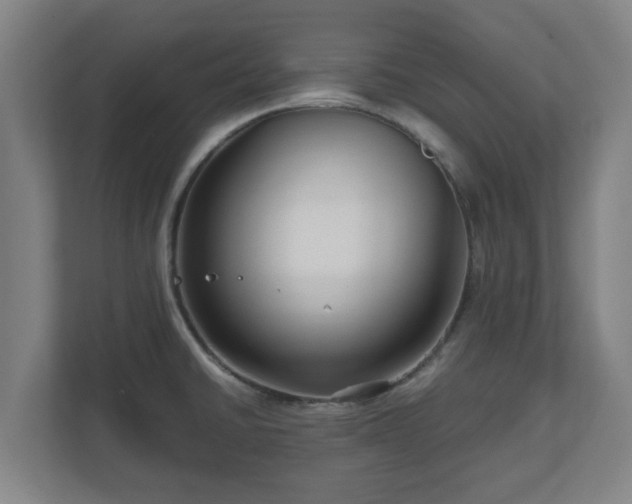 X0000111121430200907070948