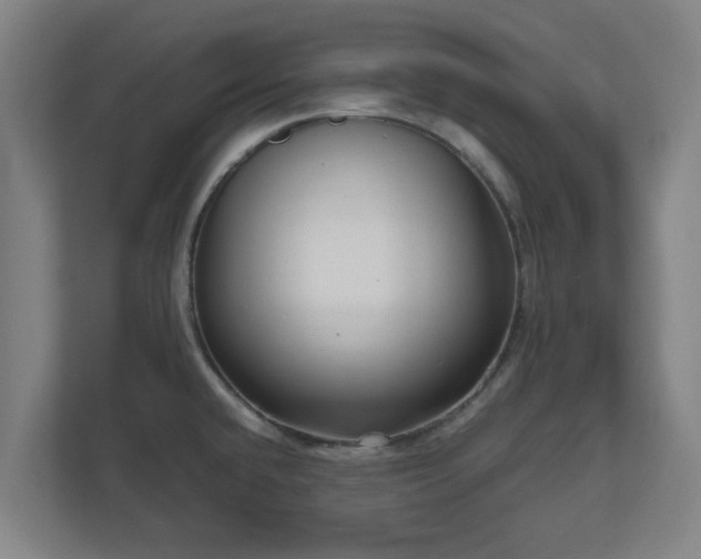 X0000111121432200907070949