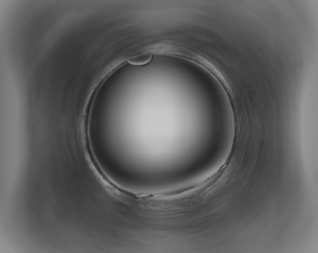 X0000111121434200907070949