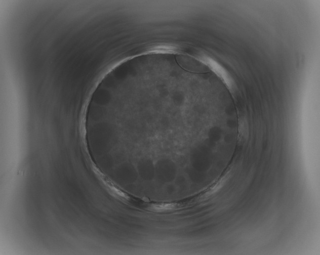 X0000111121435200907070949