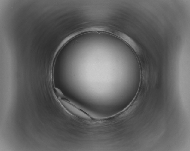 X0000111121436200907070949