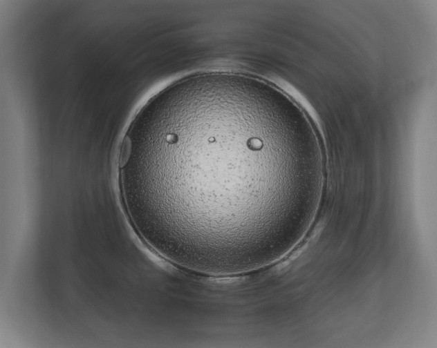 X0000111121437200907070949