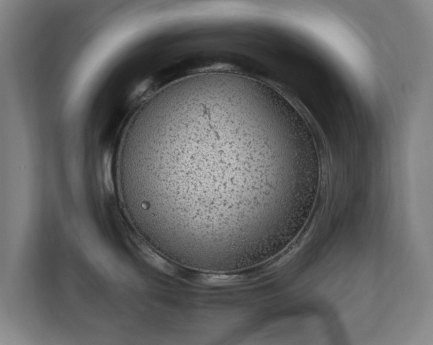 X0000111121439200907070949