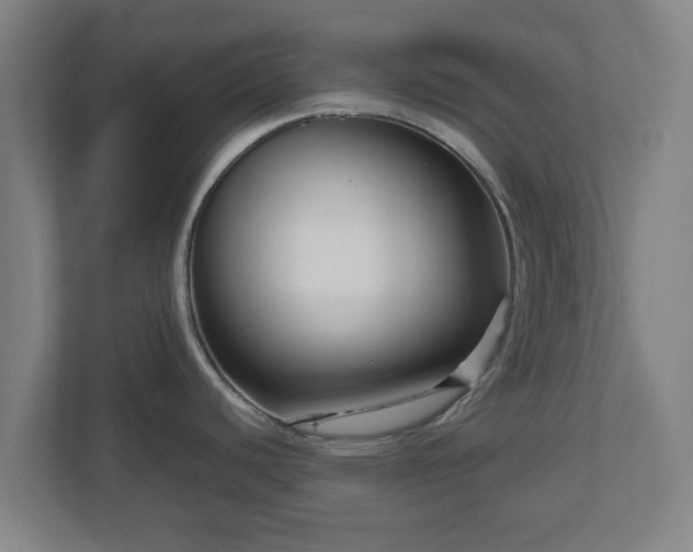 X0000111121440200907070949