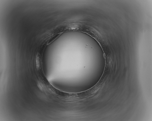 X0000111121442200907070948