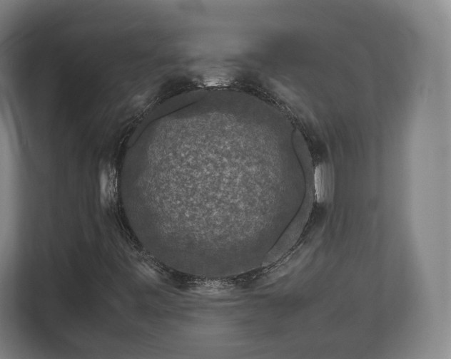 X0000111121443200907070948