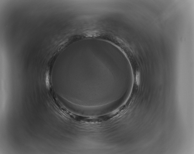 X0000111121444200907070948