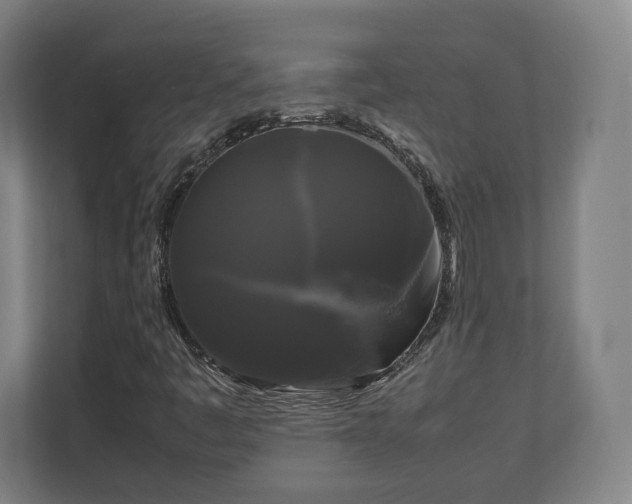 X0000111121445200907070948