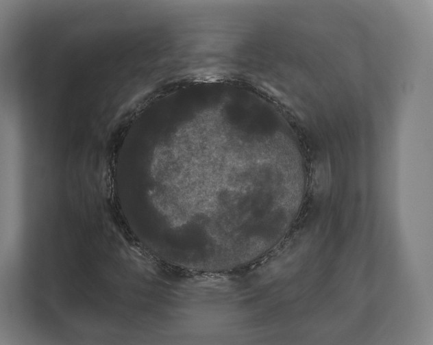 X0000111121446200907070948