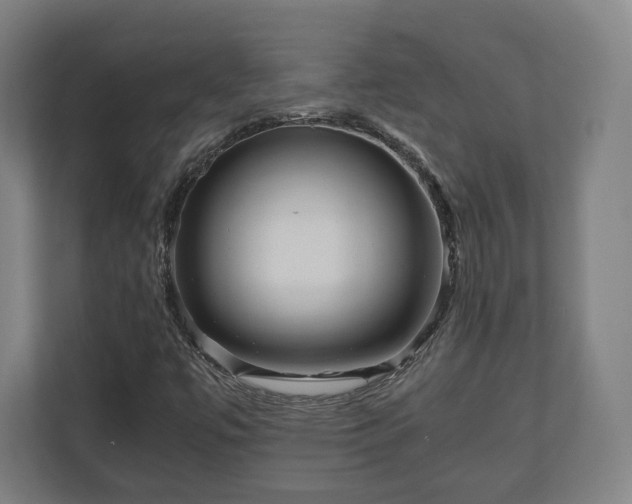 X0000111121447200907070948