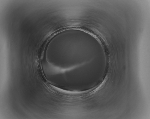 X0000111121449200907070948