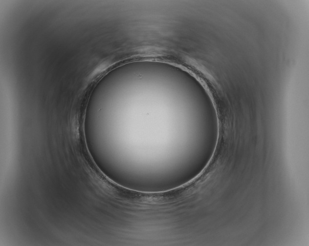 X0000111121451200907070948