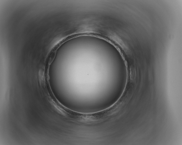 X0000111121452200907070948