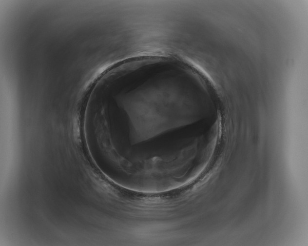 X0000111121455200907070948