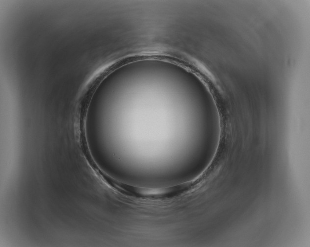 X0000111121456200907070948