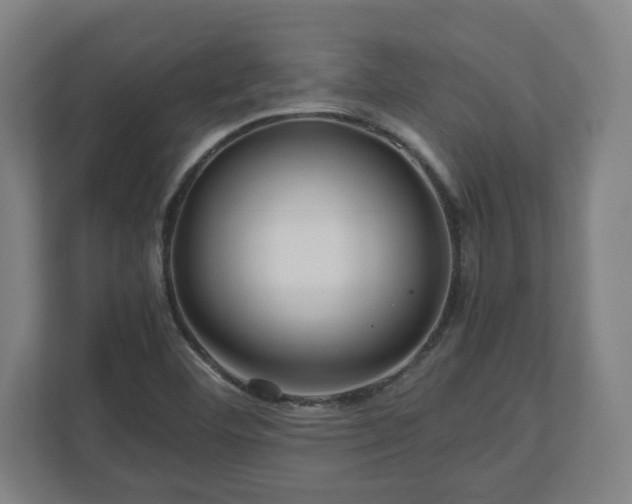 X0000111121460200907070948