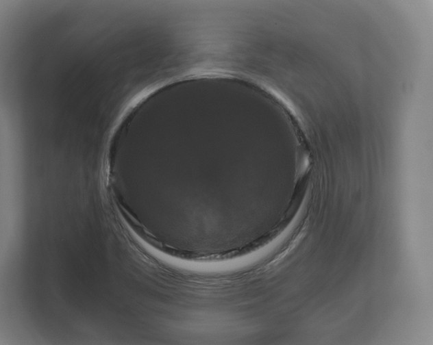 X0000111121461200907070948