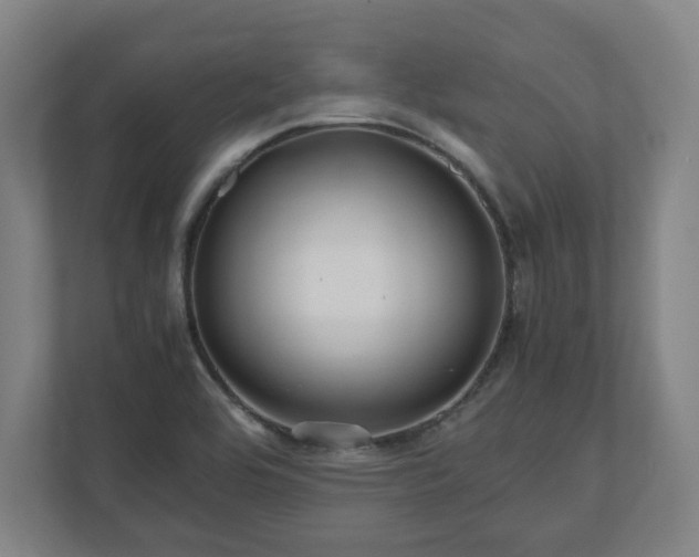 X0000111121464200907070948