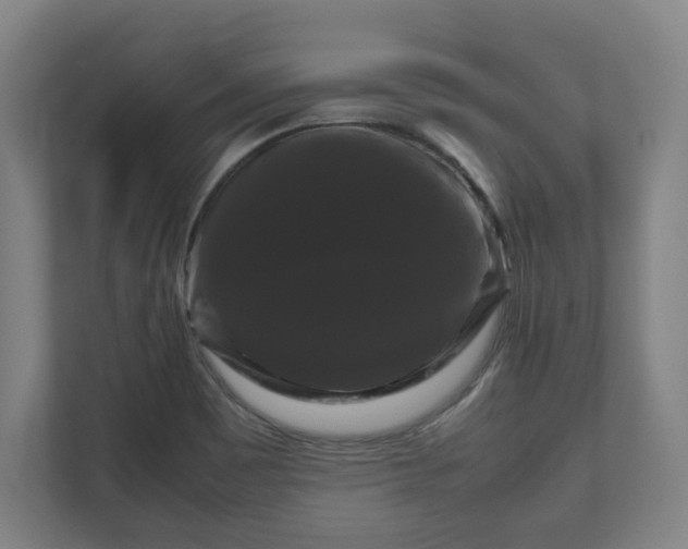 X0000111121465200907070948