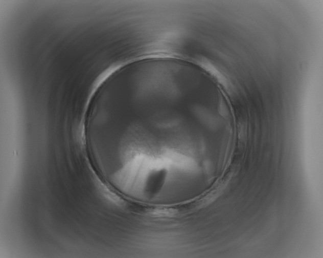 X0000111121466200907070948