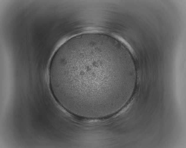 X0000111121467200907070948