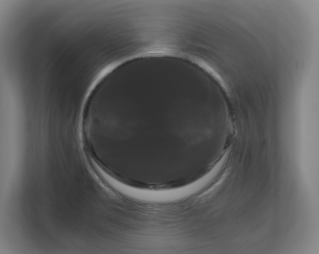 X0000111121469200907070948