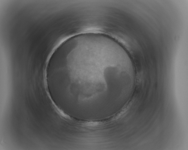 X0000111121470200907070948