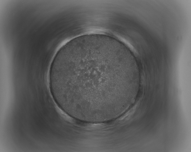 X0000111121471200907070948