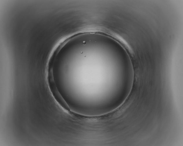 X0000111121472200907070948