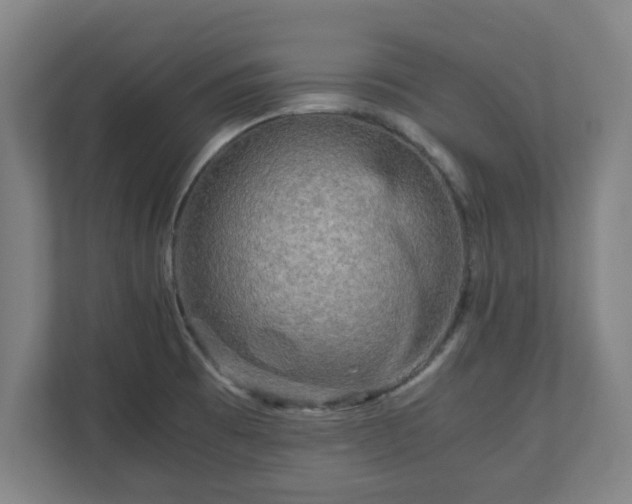 X0000111121473200907070948