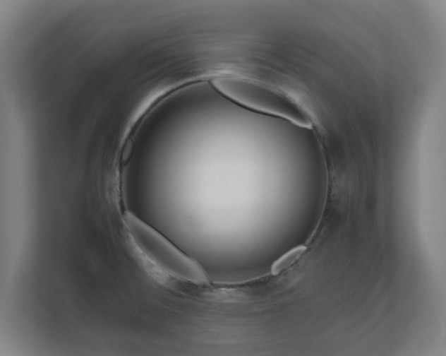 X0000111121476200907070948